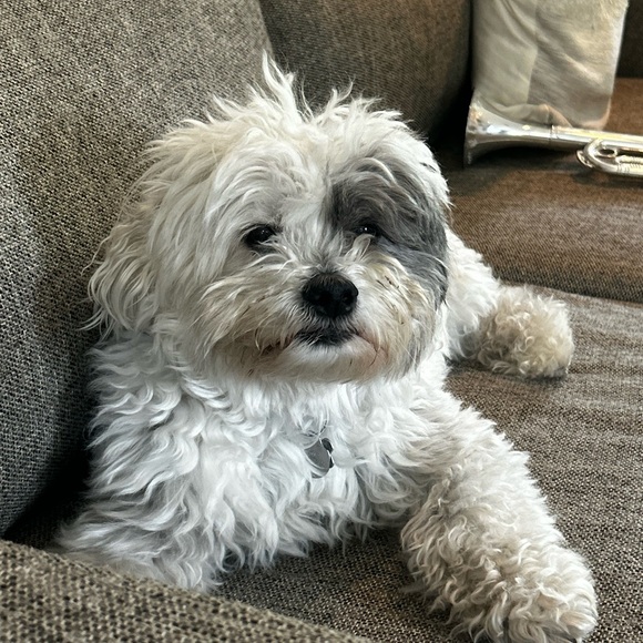 JOIN ME LIVE - Picture 8 of 10